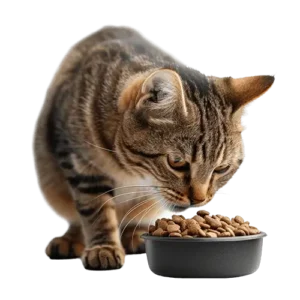 Eukanuba veterinary diets (Kopia)