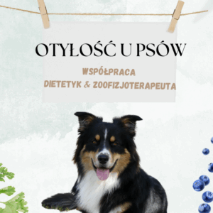 E-book Otyłość u psów