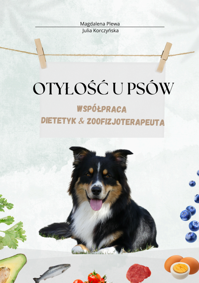 Zrzut ekranu 2025-05-22 132002