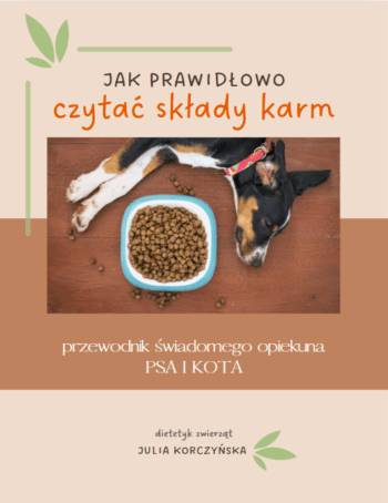 Zrzut ekranu 2025-07-27 180017